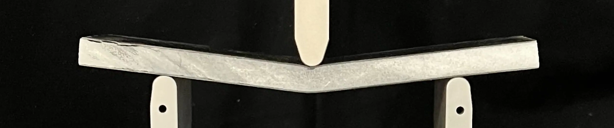 FlexionCMP1